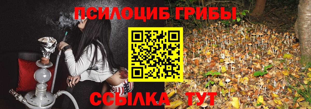 Корсаков  купить наркотики сайты  Вход с VPN  Галлюциногенные грибы Cubensis 